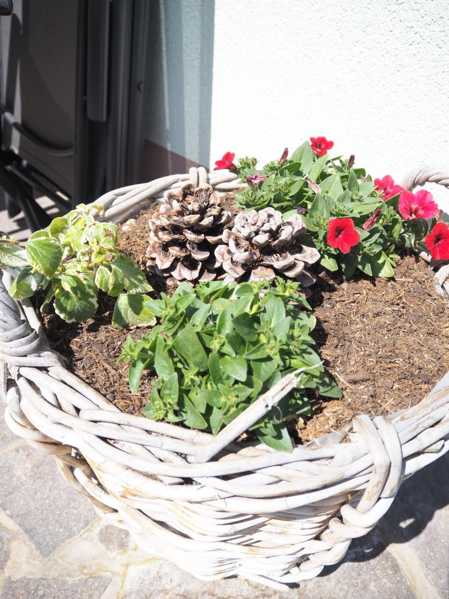 Appartement Felsenheim ヴェステンドルフ エクステリア 写真